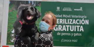 Recuerda que las esterilizaciones para perros y gatos de compañía se conceden a personas mayores de edad, residentes en Bogotá. Foto: IDPYBA
