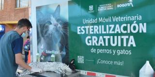 Turnos de esterilización de animales aún disponibles en Bogotá