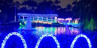 Jardín Botánico: Hasta el 16 de enero estará abierto su show de luces