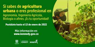 Convocatoria agricultura urbana Kennedy