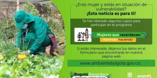 Imagen sobre mujeres que reverdecen 