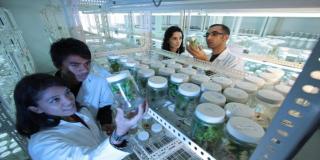 Oferta de empleo para Tecnólogo Ambiental - Foto: pixabay.com