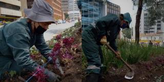 Las manos de las mujeres que embellecen los separadores de la calle 72