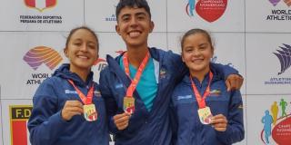 Campeonato Suramericano de Marcha Atlética: medallas de oro, Bogotá