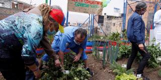 Huertas Comunitarias: una apuesta del Distrito para promover cultivos