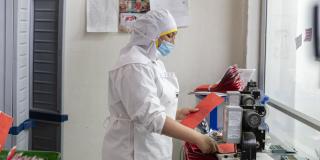 Mujer manipulando alimentos