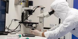 Doctor frente a un microscopio