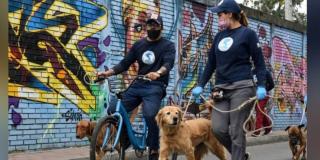 ‘Al trabajo en Bici’ con los perros del Instituto de Protección Animal