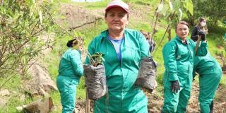 Plantación de 50 árboles en la localidad de San Cristóbal en Bogotá