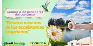 Relatos urbanos de los ecosistemas bogotanos: Ganadores del concurso