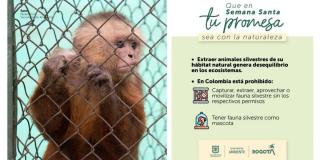 Semana Santa: Prohibido traer o consumir animales silvestres en Bogotá
