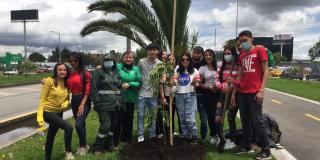 Jornadas de plantación en Bogotá en el Día Internacional de la Tierra 