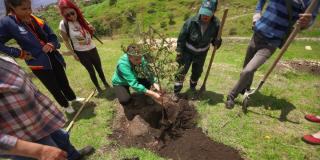 Día Mundial del Árbol: Gran jornada de plantación en 19 localidades