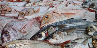 Recomendaciones para el consumo de pescado en Semana Santa 2022