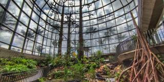 ¿Va a abrir el Tropicario del Jardín Botánico en la Semana Santa? 