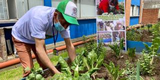 Horticultura para mejorar hábitos alimenticios pacientes renales Tunal