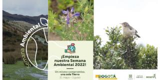Programación de la Semana Ambiental 2022 en Bogotá: caminatas y más