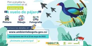 Concurso 'A vuelo de pájaro' para niños, niñas, adolescentes y adultos