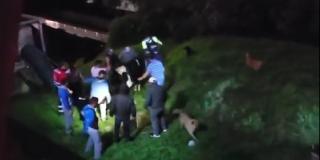 Así fue el rescate de una vaca que cayó en medio del puente de la 80