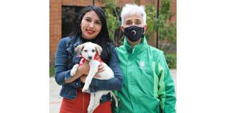 ¿Dónde se puede adoptar un perro pequeño en la ciudad de Bogotá? 