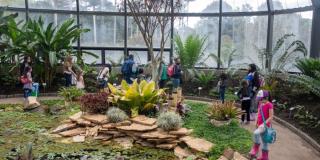 Programación de las vacaciones científicas que trae el Jardín Botánico