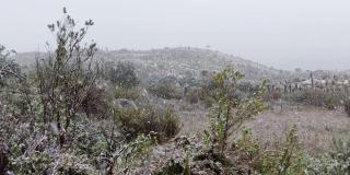 ¿Por qué cayó nieve en el páramo de Sumapaz? Aquí te contamos 