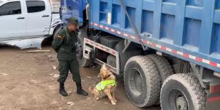 Así fue como el perro Black halló una tonelada de droga en Fontibón