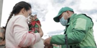 Jornadas de esterilización animal de compañía en Bogotá 