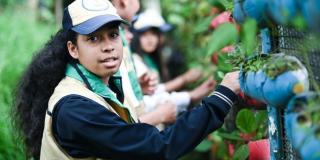 Convocatoria para que colegios cuenten con laboratorios de innovación