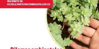 Curso virtual gratuito sobre 'Dilemas Ambientales en Bogotá'