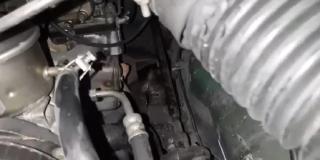 El rescate de un gato que se protegía del frío entre el motor de carro