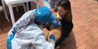 Puntos vacunación de mascotas contra la rabia en Bogotá. Julio 2022