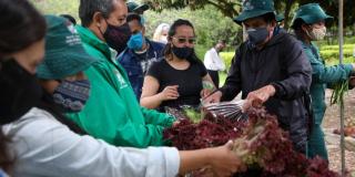 ¿Dónde hay cursos gratis sobre agricultura urbana en Bogotá? Infórmate