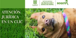 Aplicativo de citas para consultas jurídicas sobre animales en Bogotá