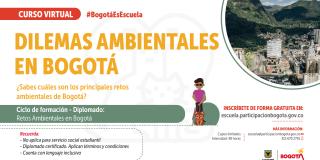 Gráfica de Dilemas ambientales en Bogotá