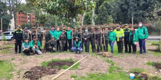 Distrito plantó más de 1.100 árboles este fin de semana en Bogotá 