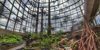 ¿Qué plantas se pueden encontrar en el Jardín Botánico de Bogotá? 🌿