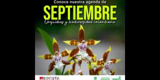 Cronograma de actividades para septiembre en el Jardín Botánico