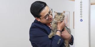 Amor y Amistad: Jornada de adopciones de gatos este fin de semana