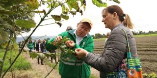 Bogotá planta más de 1700 árboles en la reserva Van der Hammen 