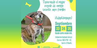 23 de septiembre de 2022: Día mundial de perro adoptado en Bogotá
