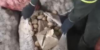 ¡De buenas papas nada! Video de la droga que traían a Bogotá oculta en carga