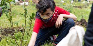 Niño con plantas