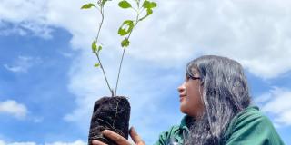 En el Día de la Biodiversidad Distrito plantará 2 mil nuevos árboles 