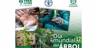 12 de octubre 2022: Bogotá conmemora el Día Mundial del Árbol 🌳