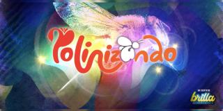 Compra tus boletas para Polinizando, la exposición del Jardín Botánico