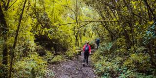 Nuevos senderos ecológicos se abrirán en cerros orientales en Bogotá 