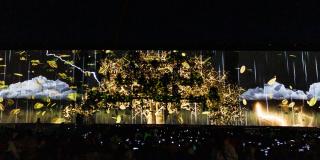 Video: Adultos mayores sacaron a su niño interior con El árbol de la abundancia