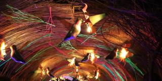 Noche de velitas: Celebra en el show de luces en el Jardín Botánico 