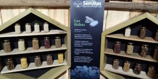 El Jardín Botánico ya tiene su propio banco de semillas en Bogotá